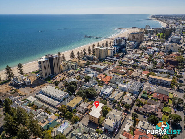 1/6 Saltram Road GLENELG SA 5045