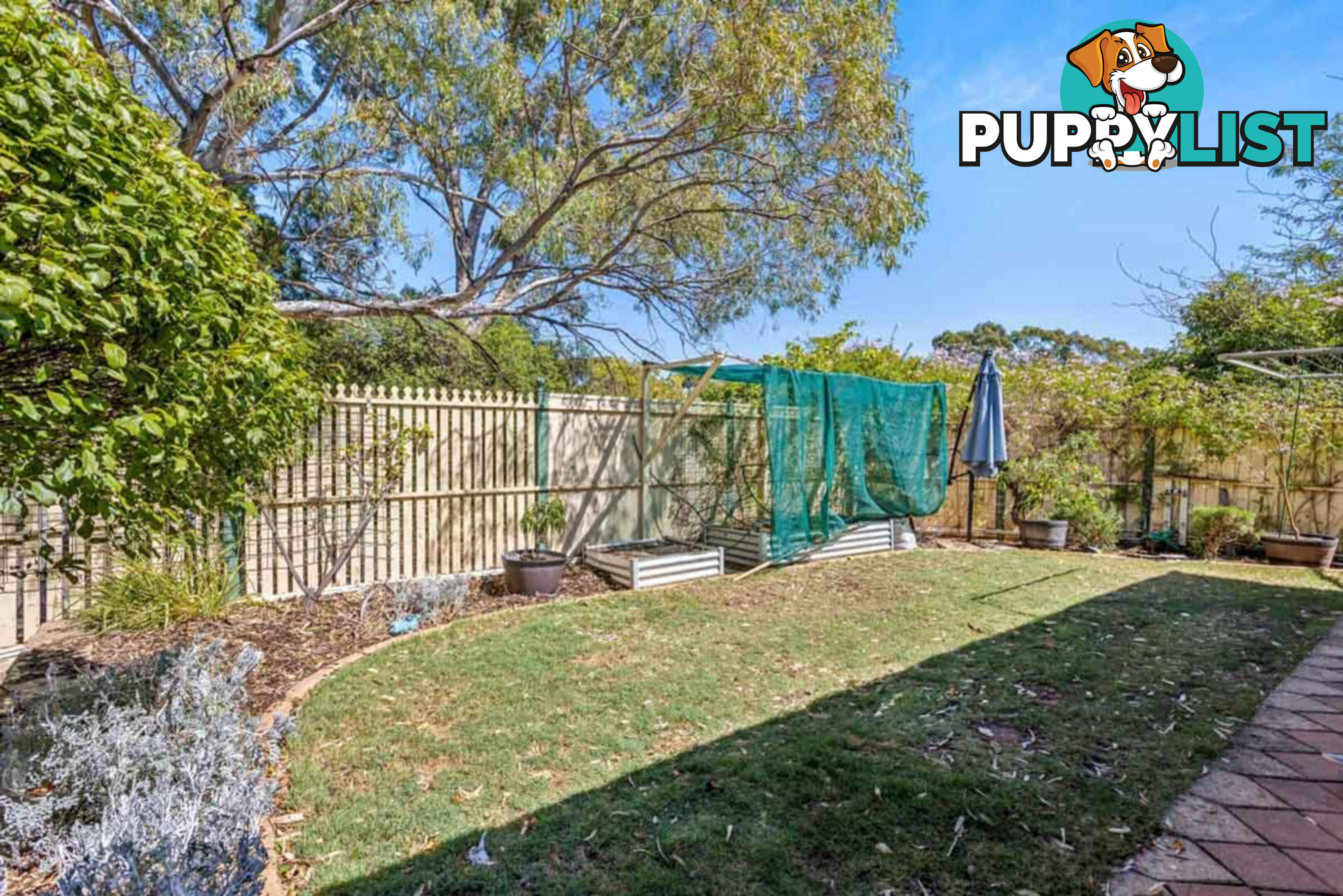 6 Gammon Court GREENWITH SA 5125