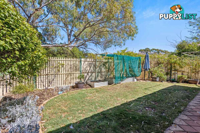 6 Gammon Court GREENWITH SA 5125