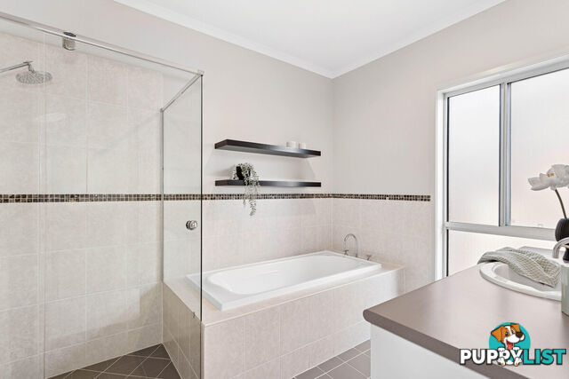12 St Kitts Place MAWSON LAKES SA 5095