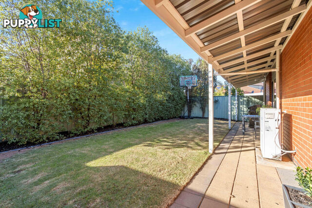 12 St Kitts Place MAWSON LAKES SA 5095