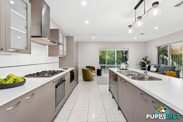 12 St Kitts Place MAWSON LAKES SA 5095