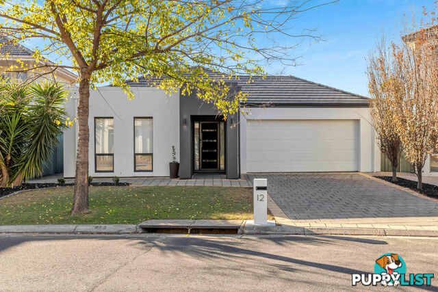 12 St Kitts Place MAWSON LAKES SA 5095
