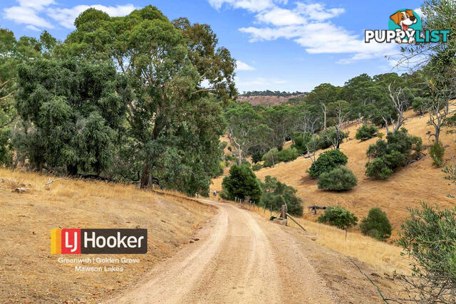 507 One Tree Hill Road GOULD CREEK SA 5114