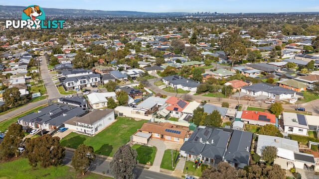 38-40 Berryman Drive MODBURY SA 5092