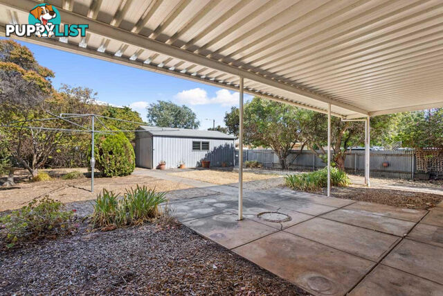 13 Goldfinch Avenue COWANDILLA SA 5033