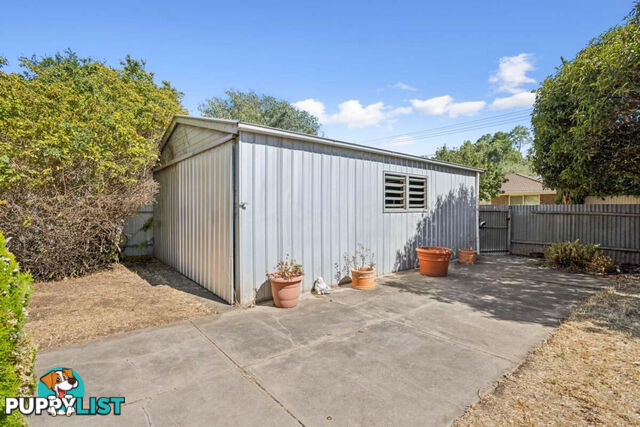 13 Goldfinch Avenue COWANDILLA SA 5033