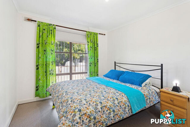 13 Richard Street MODBURY SA 5092