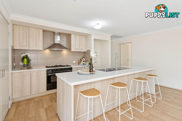 15 Eddington Street PARAFIELD GARDENS SA 5107
