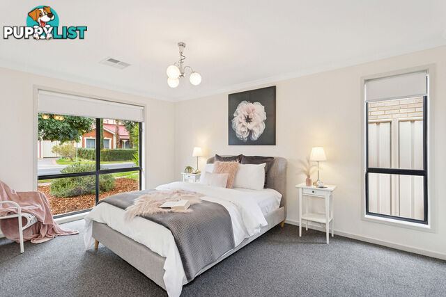 15 Eddington Street PARAFIELD GARDENS SA 5107