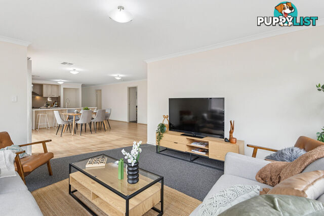 15 Eddington Street PARAFIELD GARDENS SA 5107