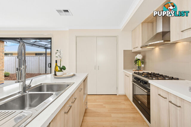 15 Eddington Street PARAFIELD GARDENS SA 5107