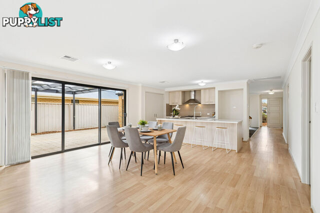 15 Eddington Street PARAFIELD GARDENS SA 5107
