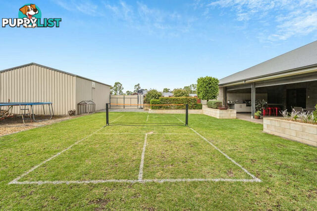 17 Steinborner Street NURIOOTPA SA 5355