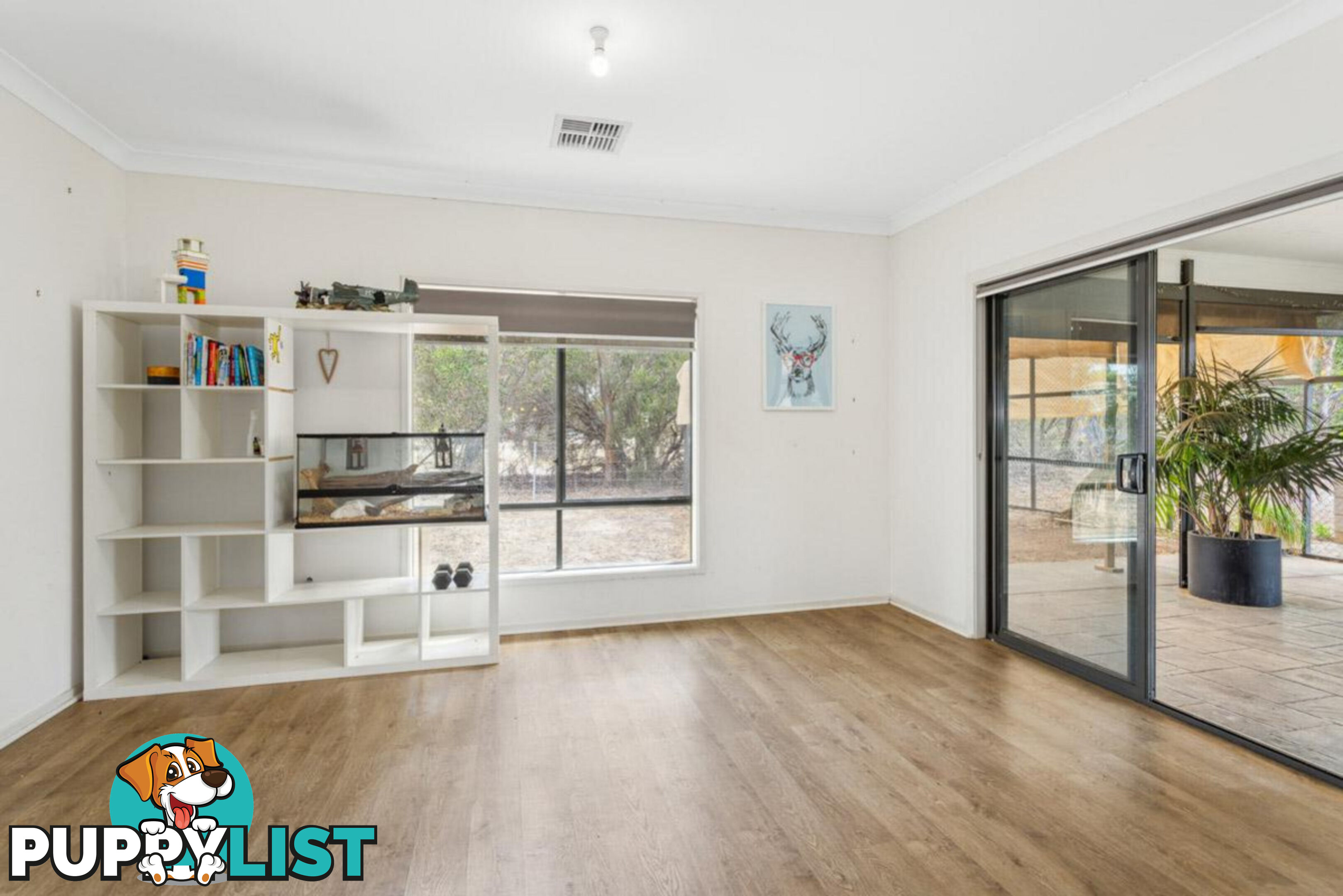 17 Steinborner Street NURIOOTPA SA 5355