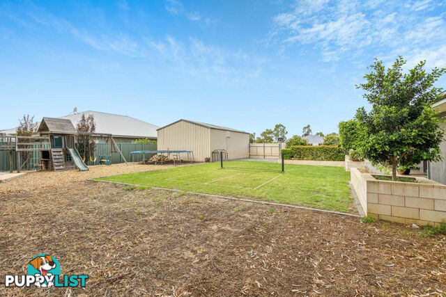 17 Steinborner Street NURIOOTPA SA 5355