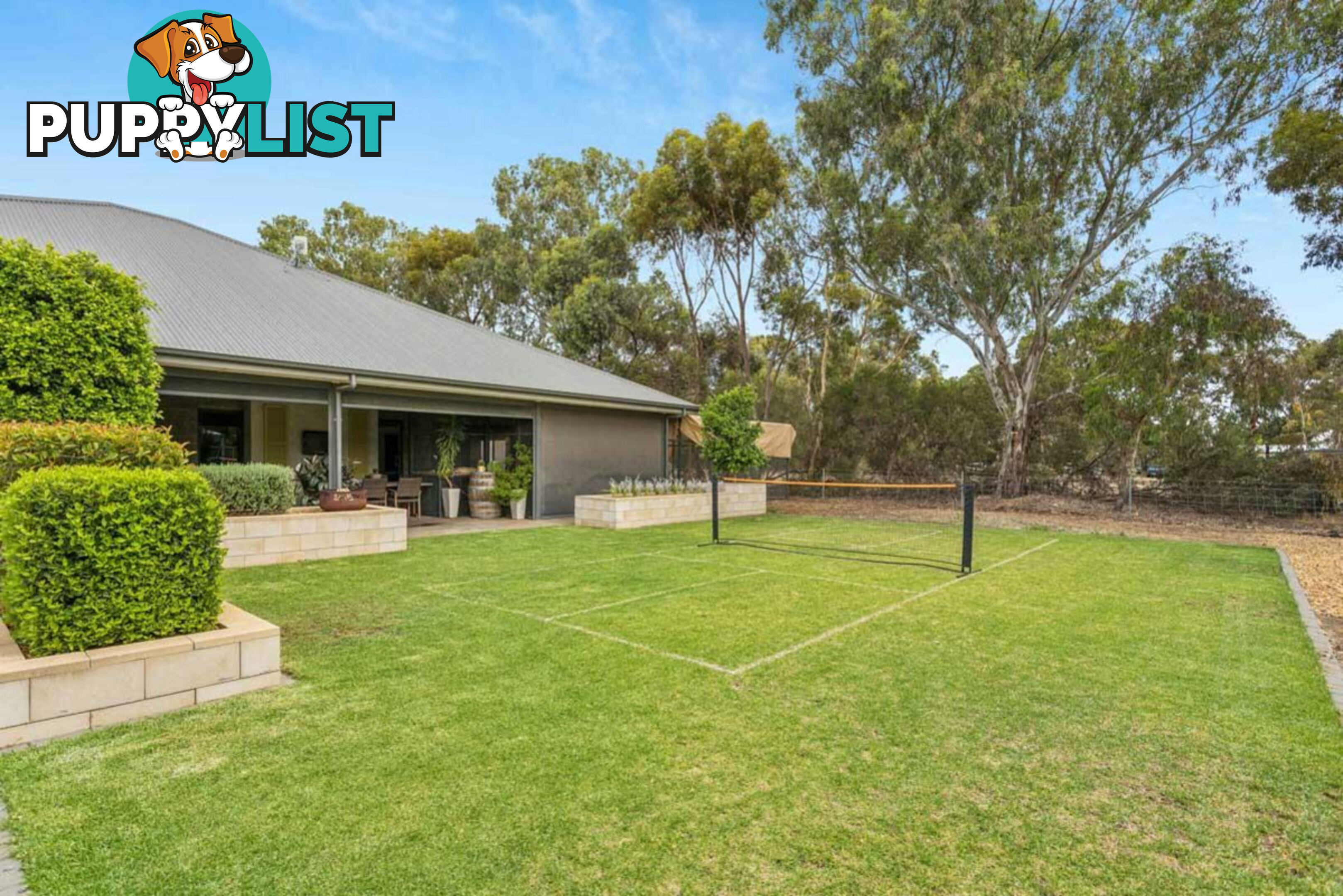 17 Steinborner Street NURIOOTPA SA 5355