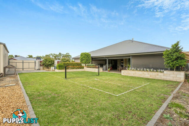 17 Steinborner Street NURIOOTPA SA 5355