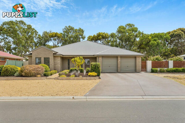 17 Steinborner Street NURIOOTPA SA 5355