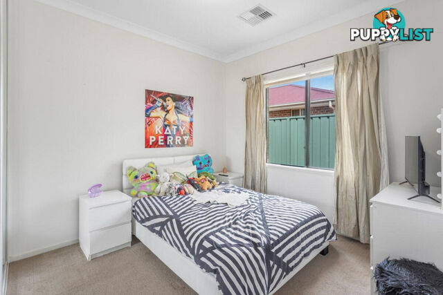 17 Steinborner Street NURIOOTPA SA 5355