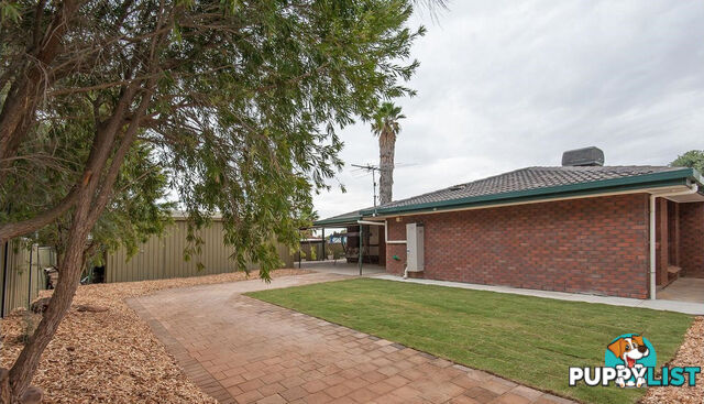 13 Wanbi Court CRAIGMORE SA 5114