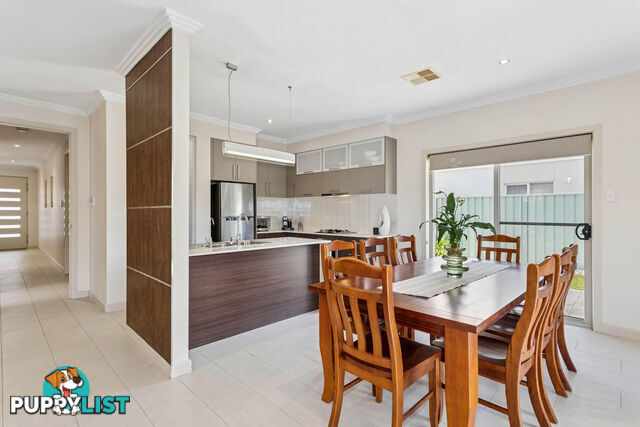 44 Hindmarsh Circuit MAWSON LAKES SA 5095