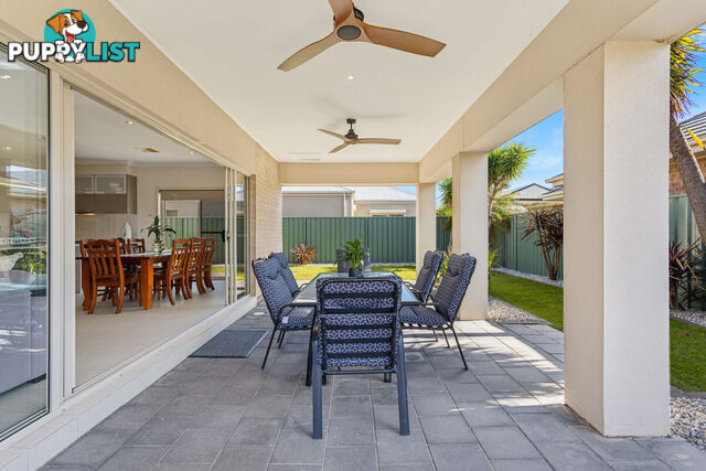 44 Hindmarsh Circuit MAWSON LAKES SA 5095