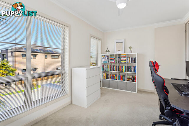 44 Hindmarsh Circuit MAWSON LAKES SA 5095