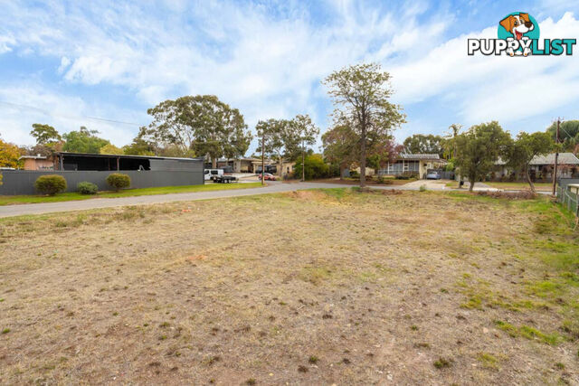 21 Horatio Street MODBURY SA 5092