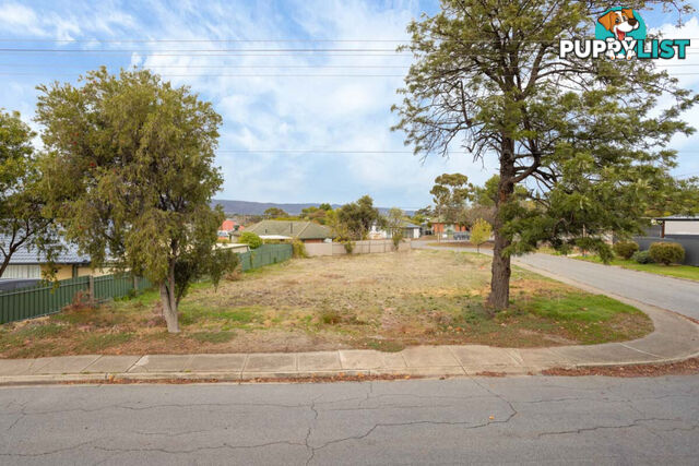 21 Horatio Street MODBURY SA 5092