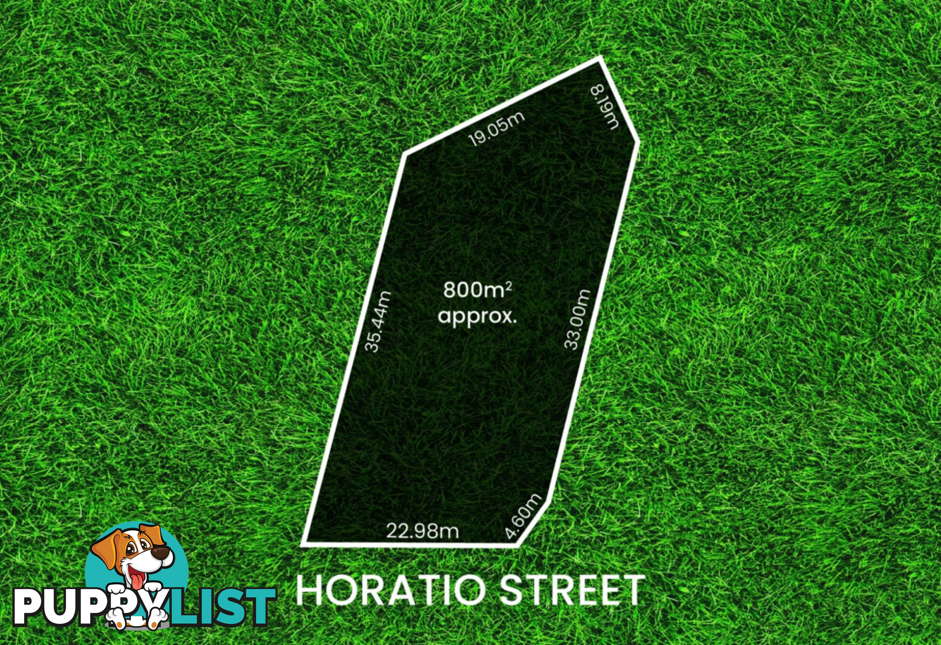 21 Horatio Street MODBURY SA 5092