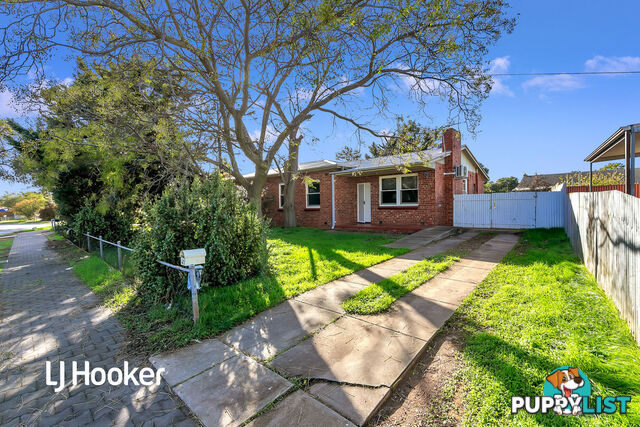 41 Wilkins Road ELIZABETH DOWNS SA 5113