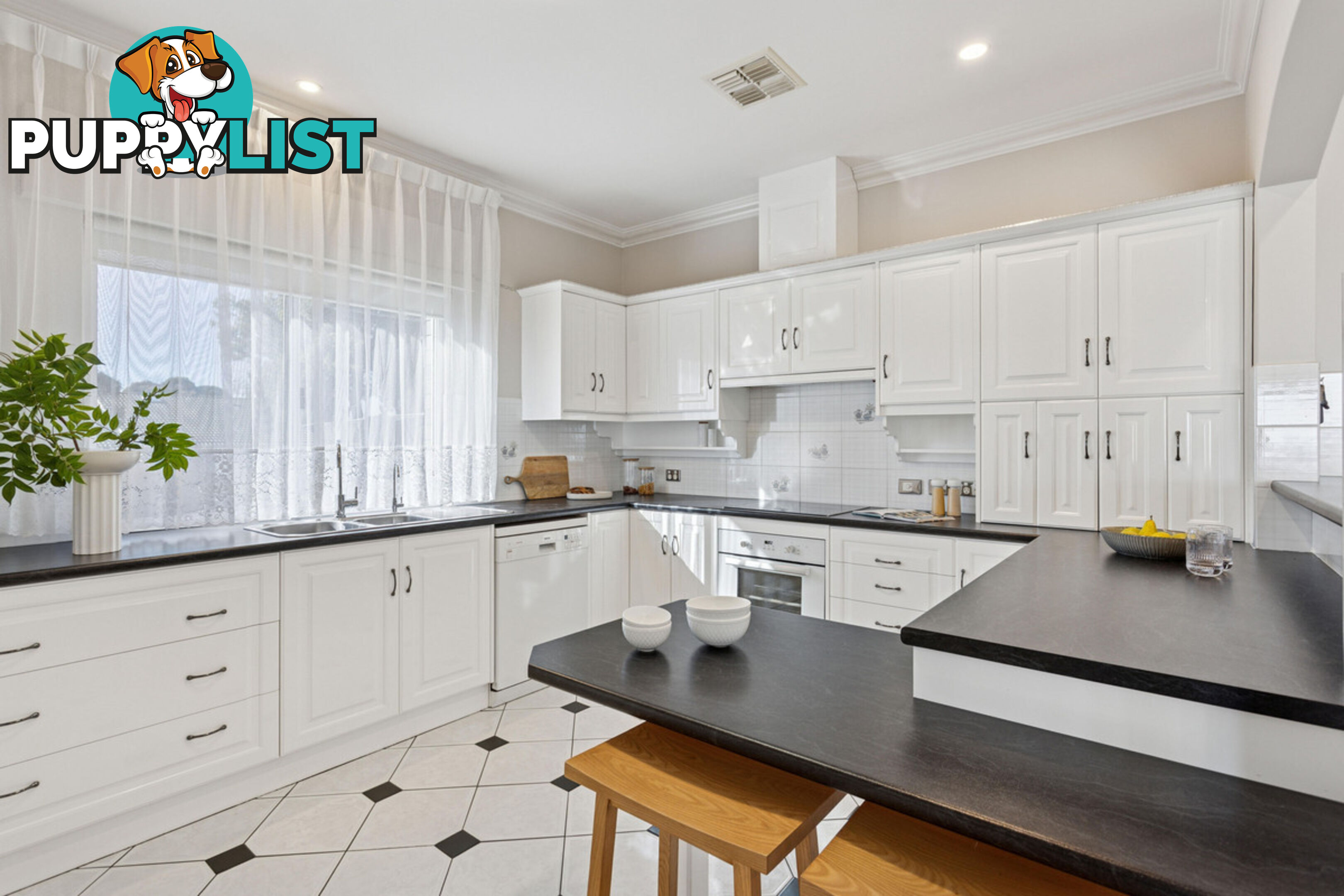 1 Napier Court WYNN VALE SA 5127