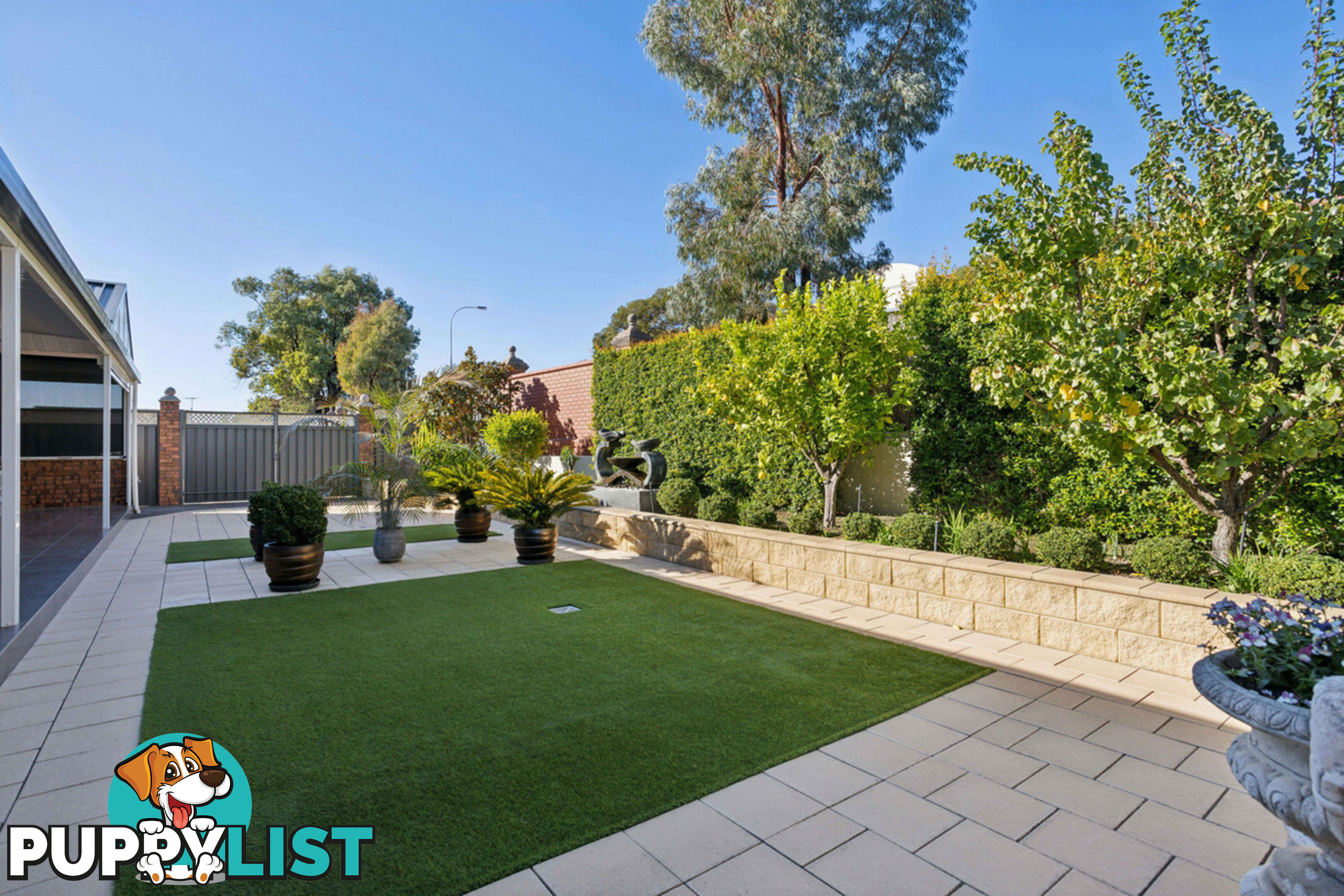 1 Napier Court WYNN VALE SA 5127