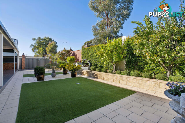 1 Napier Court WYNN VALE SA 5127