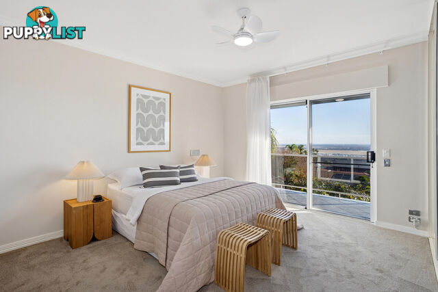 1 Napier Court WYNN VALE SA 5127
