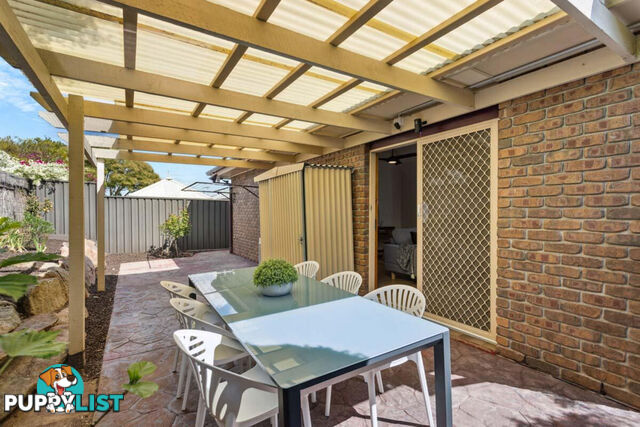 25 Hillcott Avenue WYNN VALE SA 5127