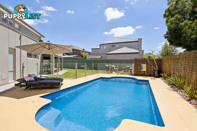 90 Shoalhaven Circuit MAWSON LAKES SA 5095