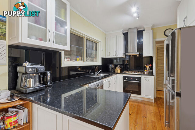 44 Joycelyn Avenue SURREY DOWNS SA 5126