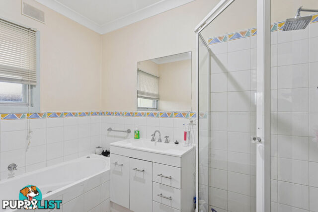 44 Joycelyn Avenue SURREY DOWNS SA 5126