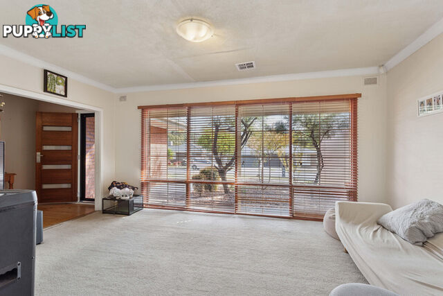 44 Joycelyn Avenue SURREY DOWNS SA 5126