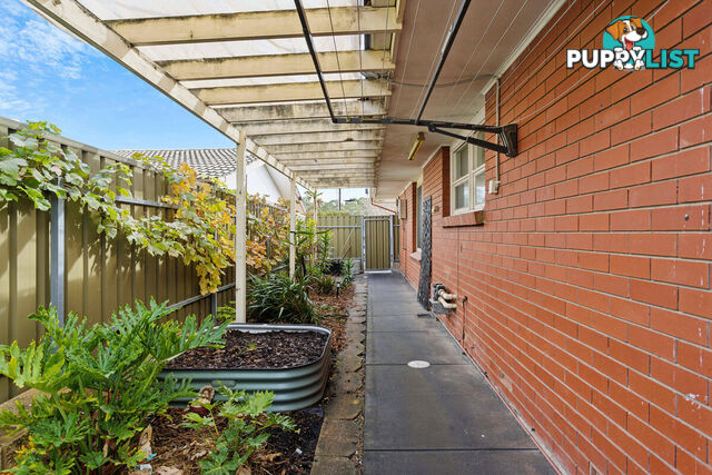 44 Joycelyn Avenue SURREY DOWNS SA 5126