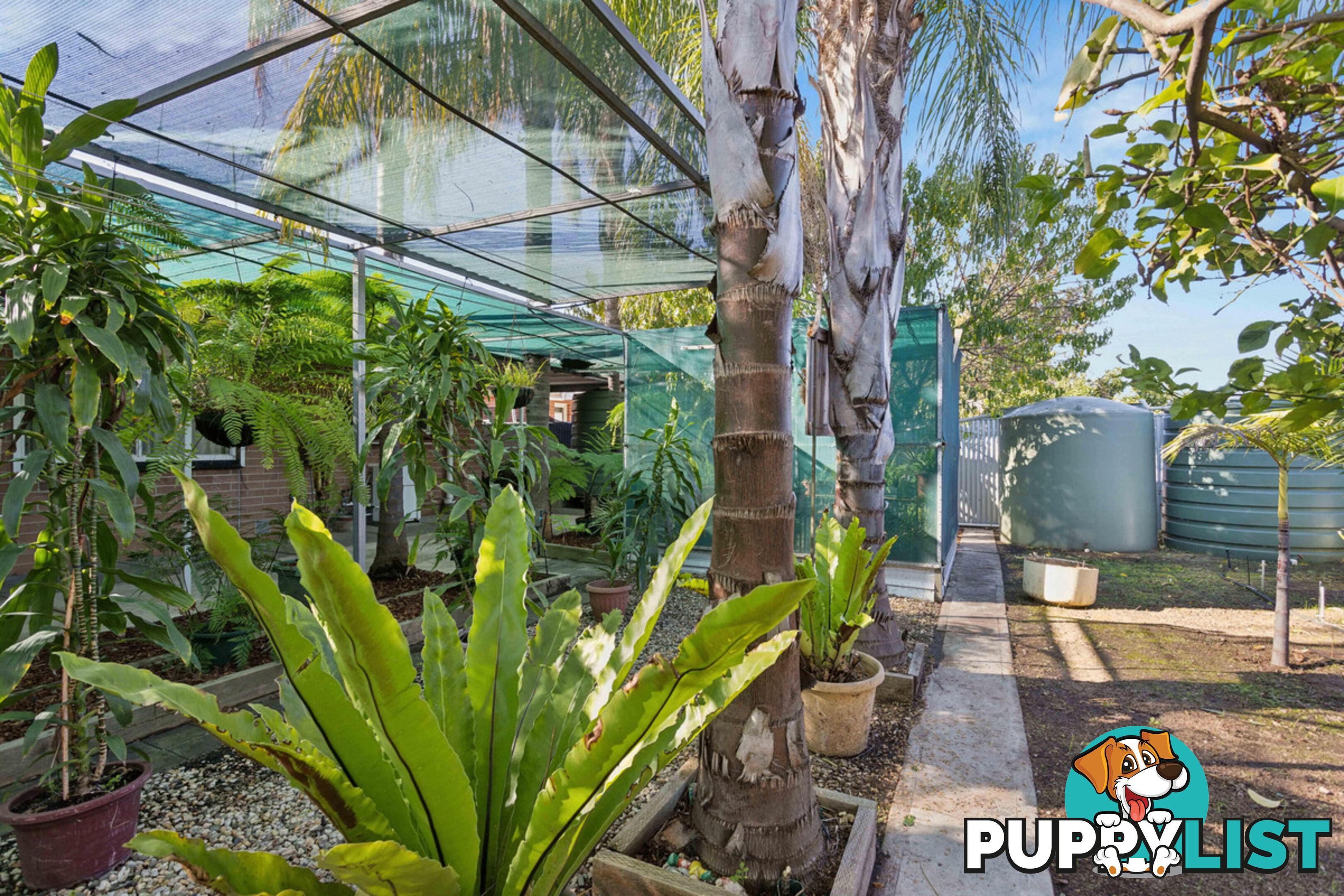 9 Mira Street GEPPS CROSS SA 5094