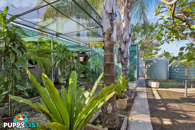 9 Mira Street GEPPS CROSS SA 5094