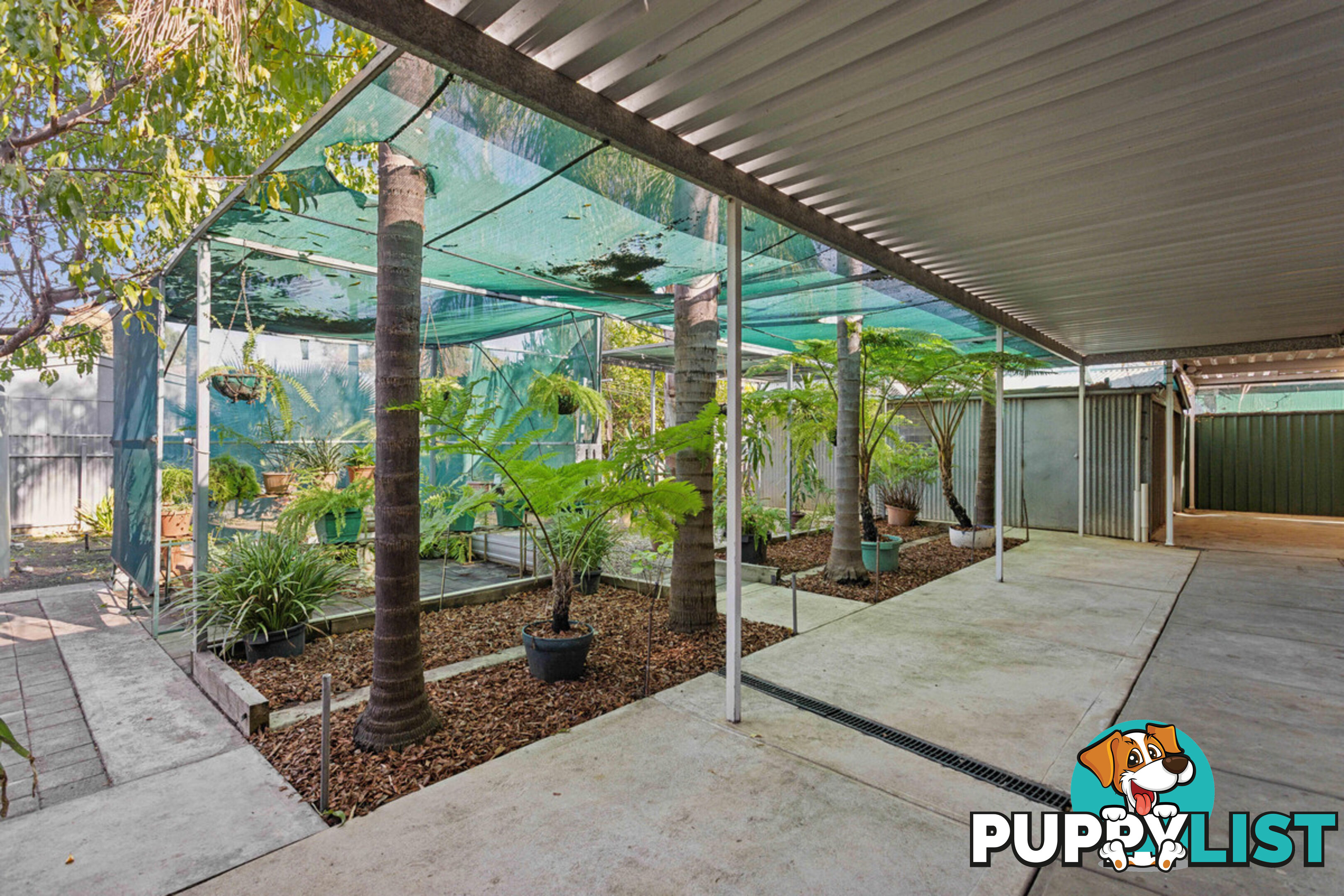 9 Mira Street GEPPS CROSS SA 5094