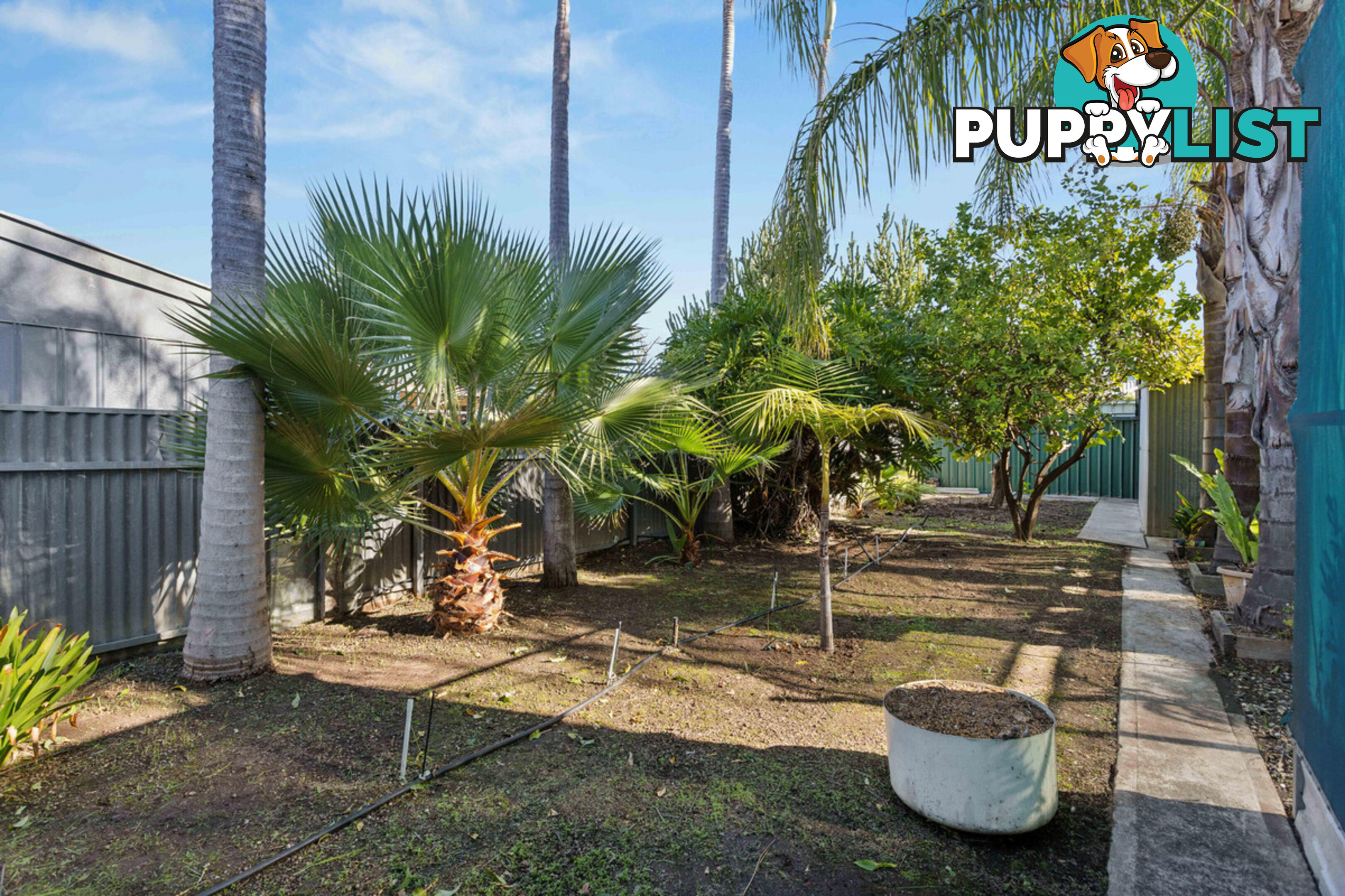 9 Mira Street GEPPS CROSS SA 5094