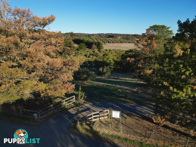 202 One Tree Hill Road GOLDEN GROVE SA 5125