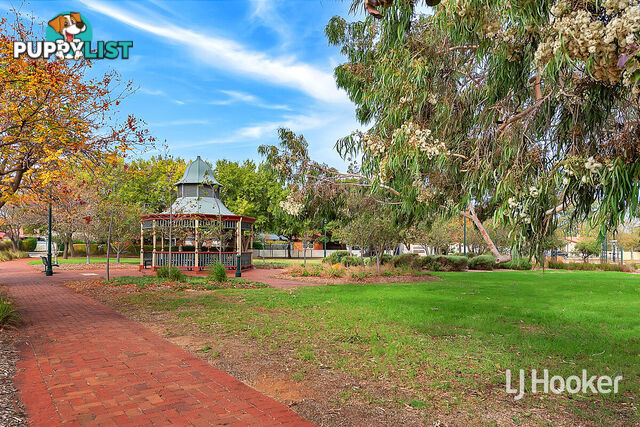 1 Hilcott Street ELIZABETH NORTH SA 5113
