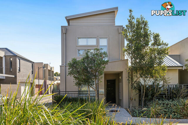 13 Hope Lane MAWSON LAKES SA 5095