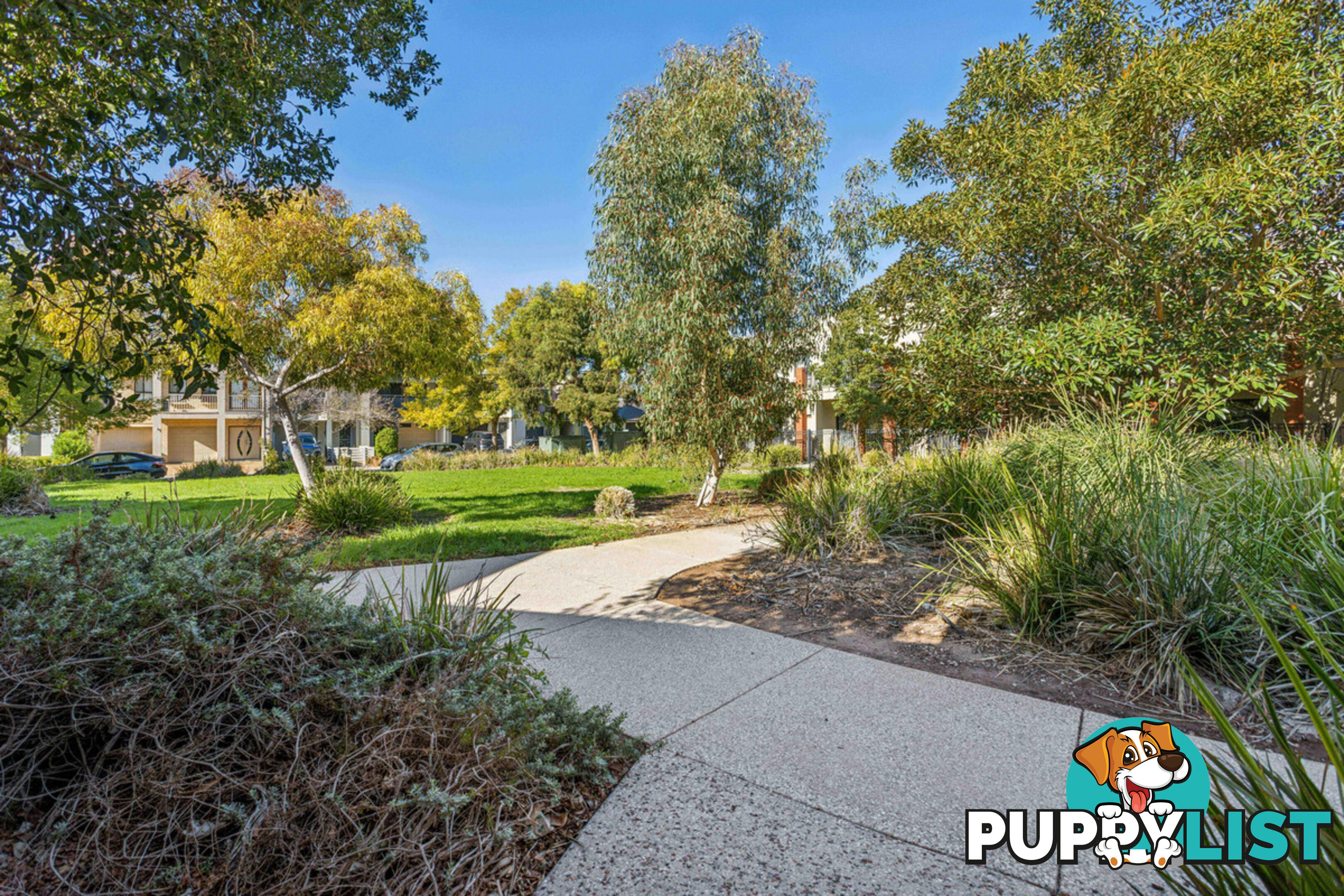 13 Hope Lane MAWSON LAKES SA 5095